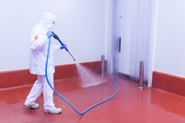 Reliable Bolivar, TN Pressure Washing Solutions